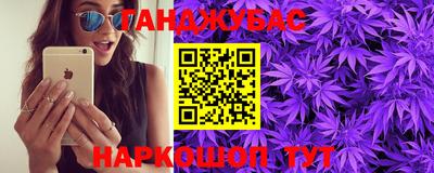 шишки Кингисепп