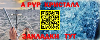шишки Кингисепп