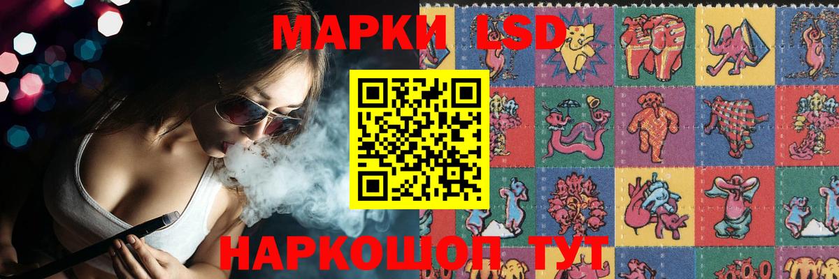LSD-25 экстази кислота  Вход с VPN  Карачаевск 