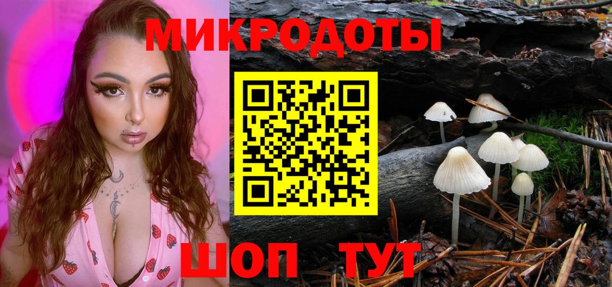 Карачаевск  Галлюциногенные грибы мицелий  Псилоцибиновые грибы Psilocybe  Вход с VPN 