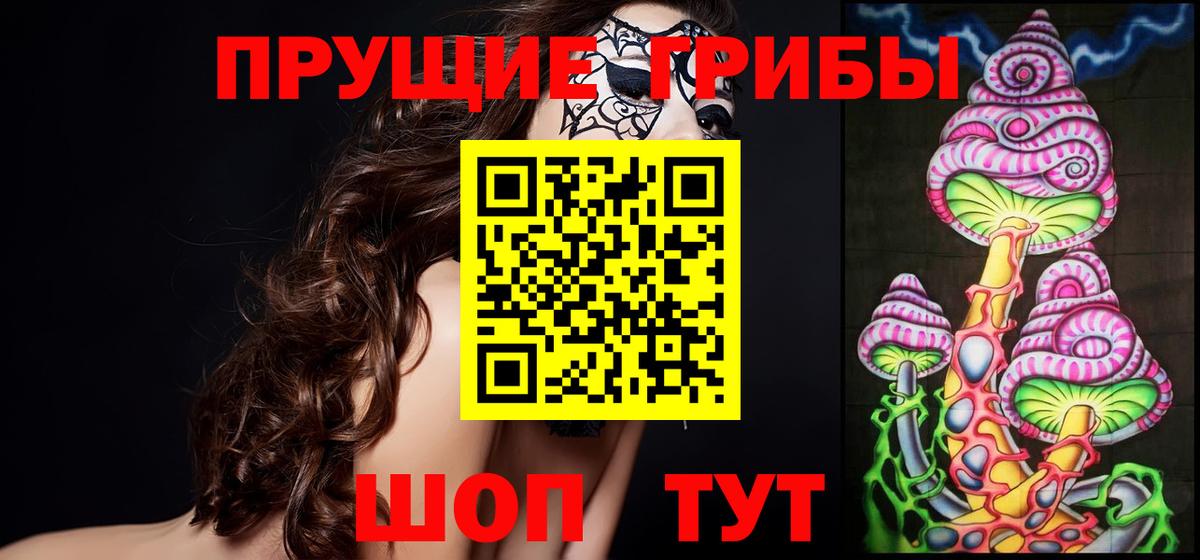 Псилоцибиновые грибы прущие грибы Карачаевск